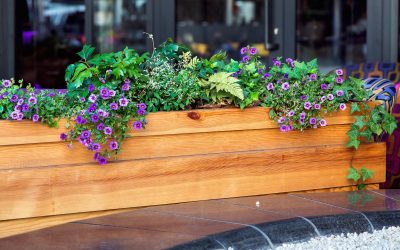 Planter Box Waterproofing Planter Box Waterproofing